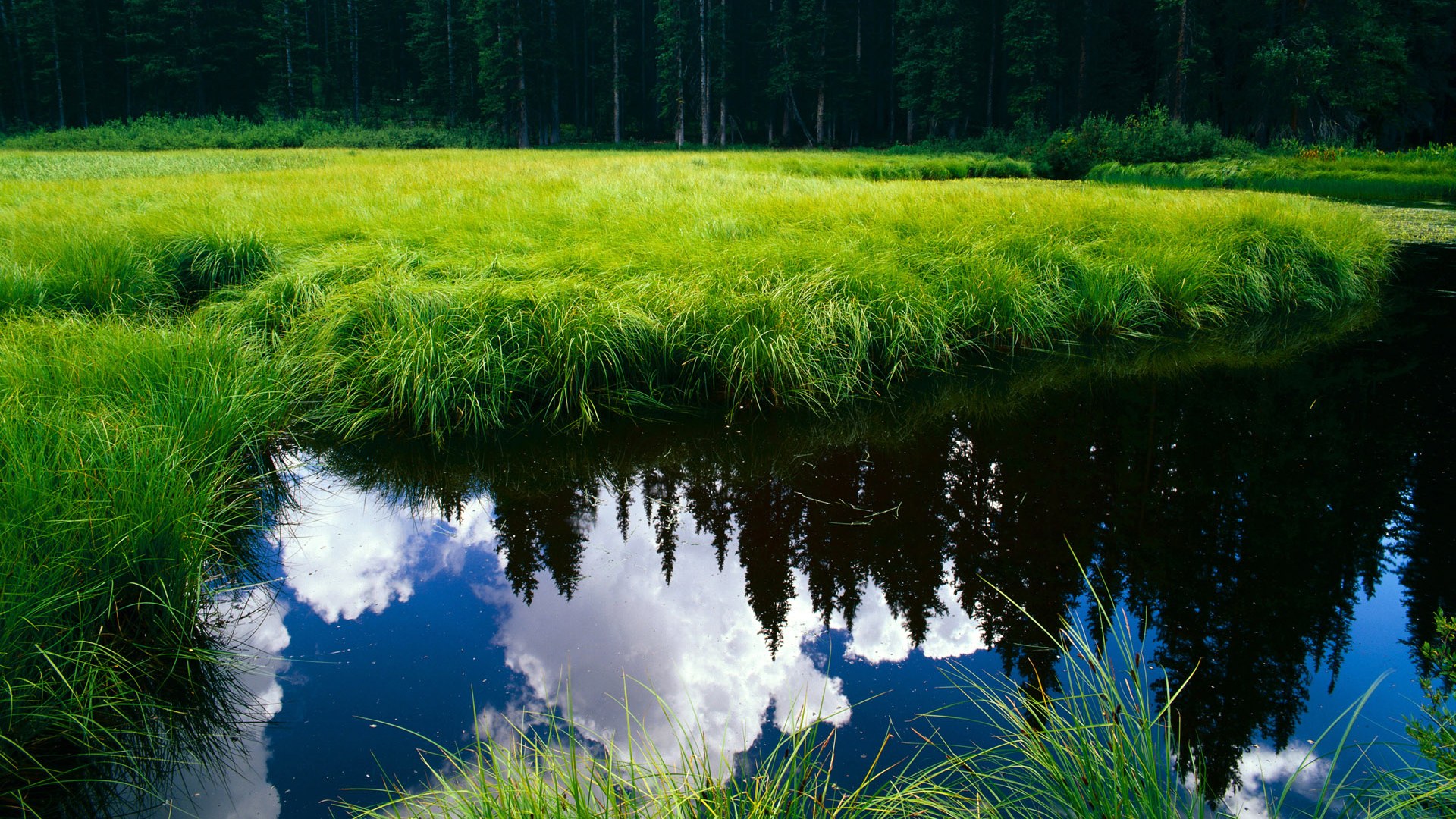 开云中国-_快船迎难而上,追逐更高排名_,快船名单