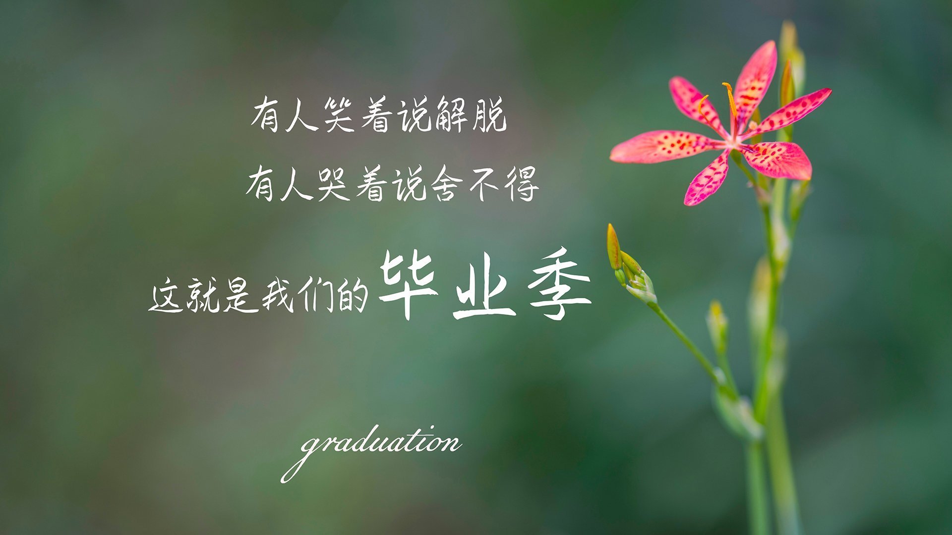 详细阅读:开云官方网站-_多场精彩对决:决赛日让人期待_,决赛精彩纷呈 开云官方网站-_多场精彩对决:决赛日让人期待_,决赛精彩纷呈