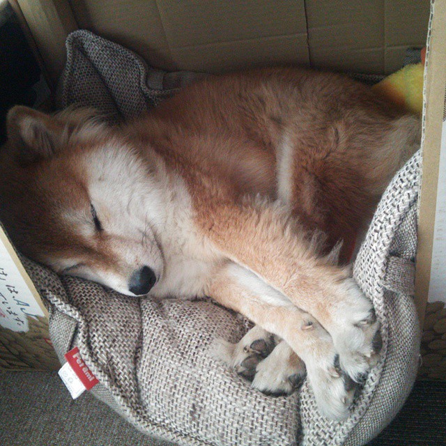 详细阅读:kaiyun开云·官方网站-“中国女足在亚洲杯中夺冠,迎来新巅峰”,中国女足亚洲杯冠军 kaiyun开云·官方网站-“中国女足在亚洲杯中夺冠,迎来新巅峰”,中国女足亚洲杯冠军