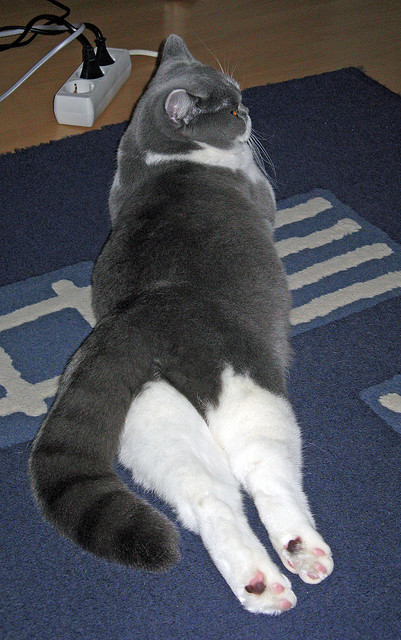 开云官方网站-【平局不再平凡】加时赛新规定让比赛悬念升级,加时赛打平