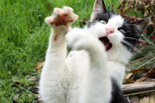 开云网页版-全球极限骑行挑战，穿越世界各大风景名胜，骑行挑战自己挑战极限