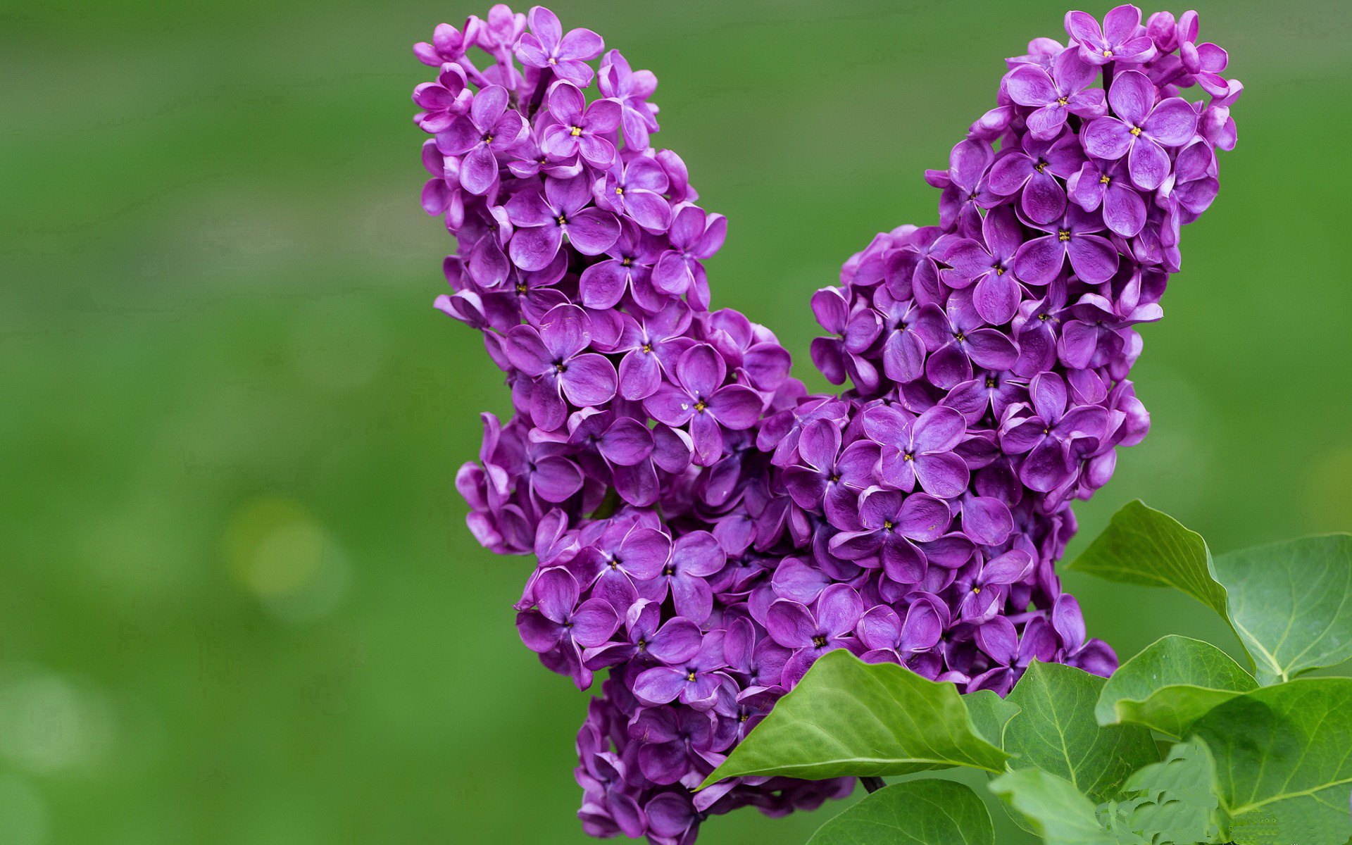 Kaiyun APP-年度行业深度报告:数据解码电竞市场新风向,电竞行业数据统计