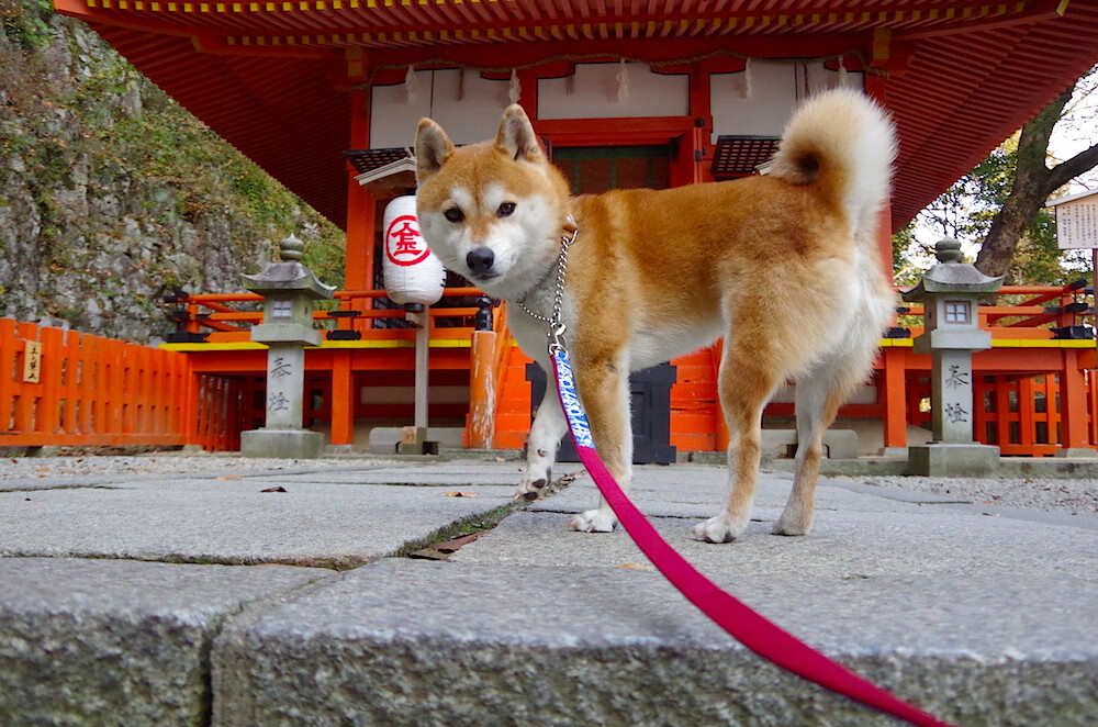 开云·Kaiyun网页版-托桑·埃夫布奥姆万在NBA常规赛中贡献11.2分和4.2个篮板，埃托奥和布冯相视一笑