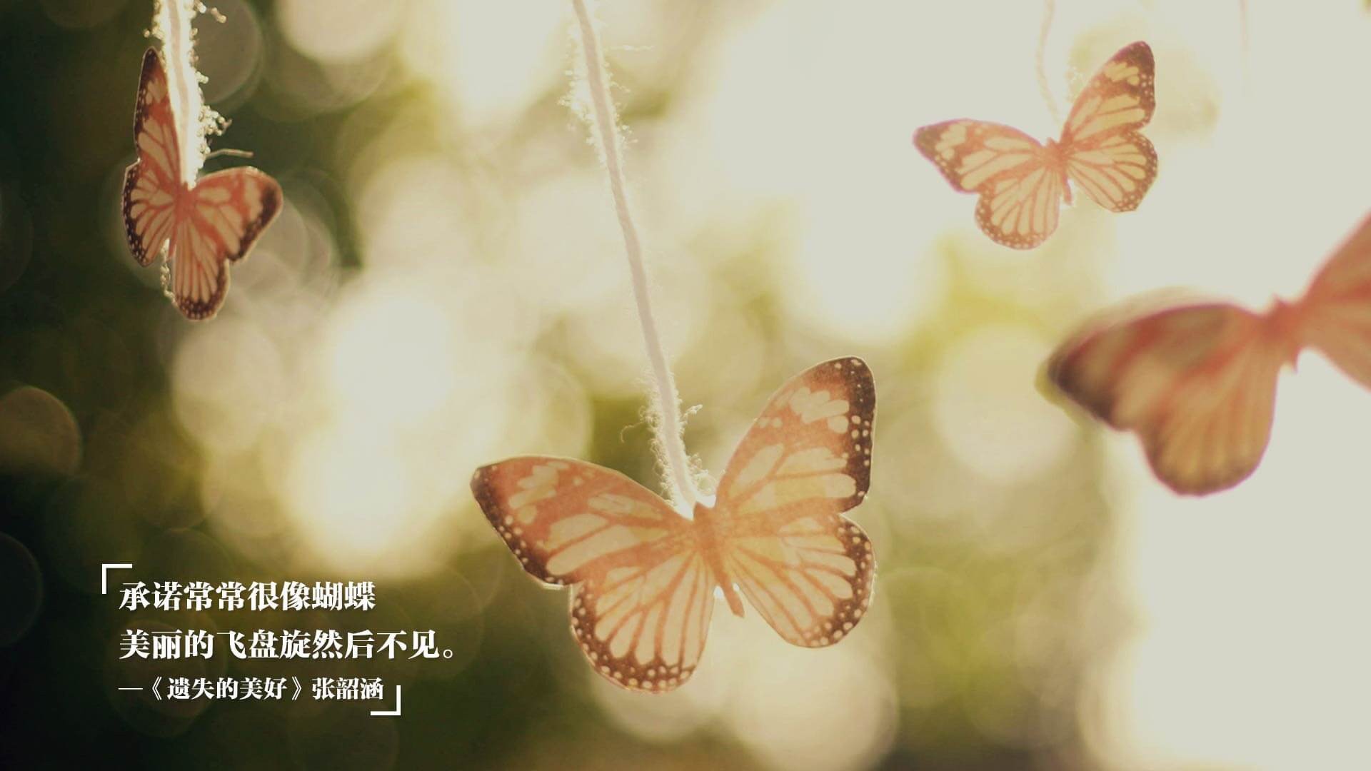 kaiyun网站-王者荣耀城市赛：草根选手逐梦之路，王者荣耀城市赛介绍