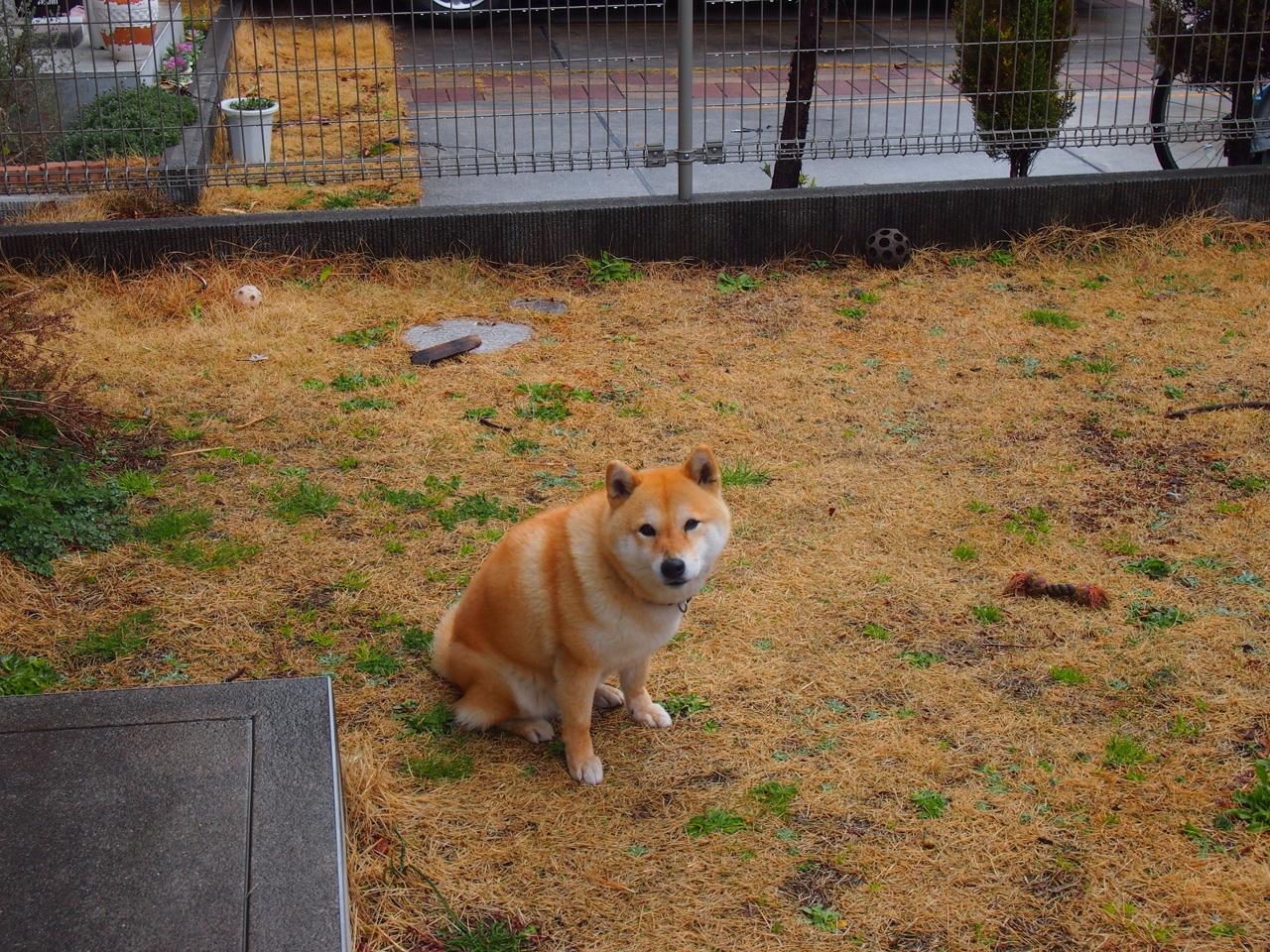 kaiyun网站-绿军主场迎战强敌，争夺东部第一宝座，绿军对战