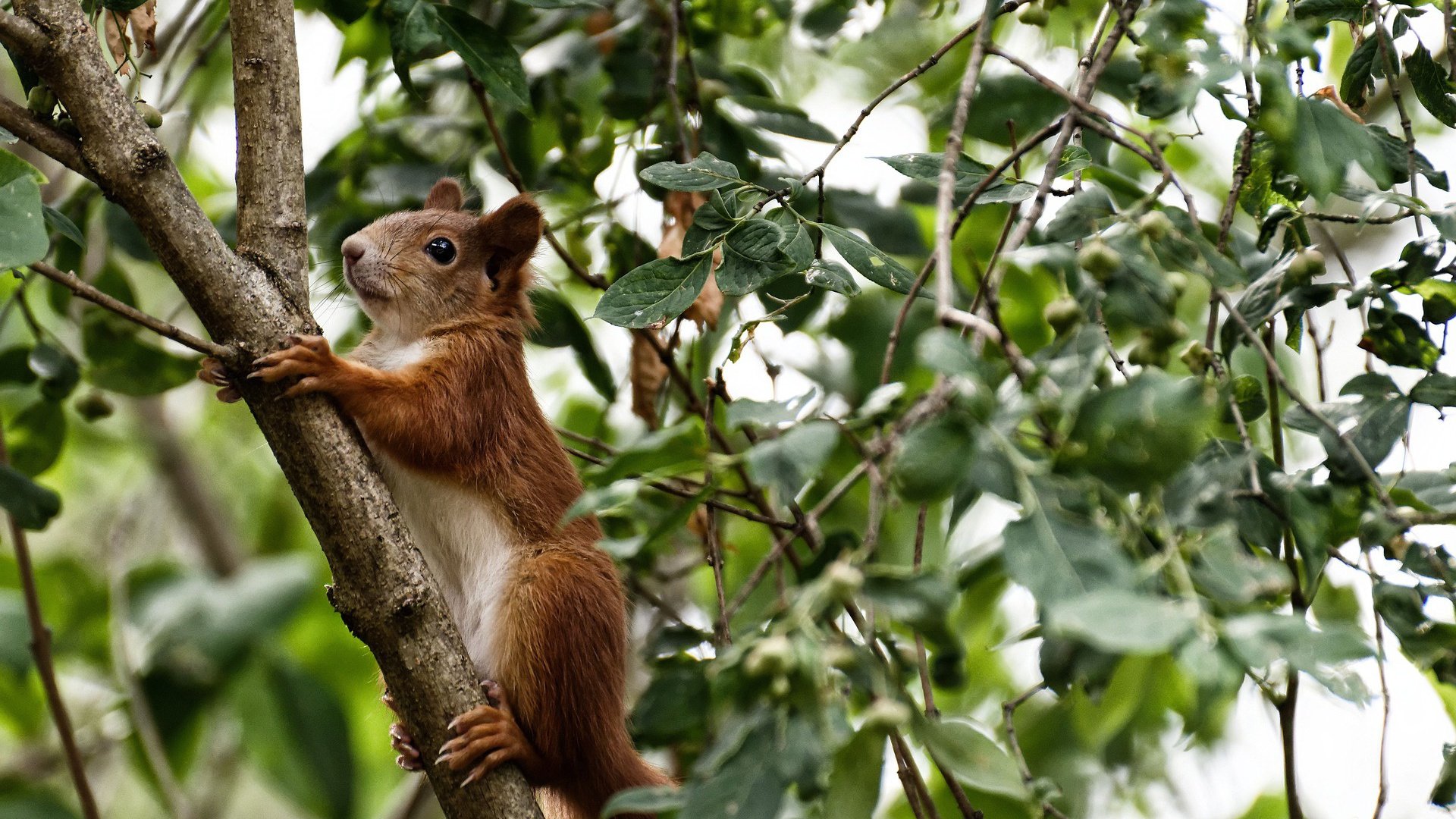 kaiyun网站-逆境中的“粉红奇迹”——那些令人振奋的逆转故事