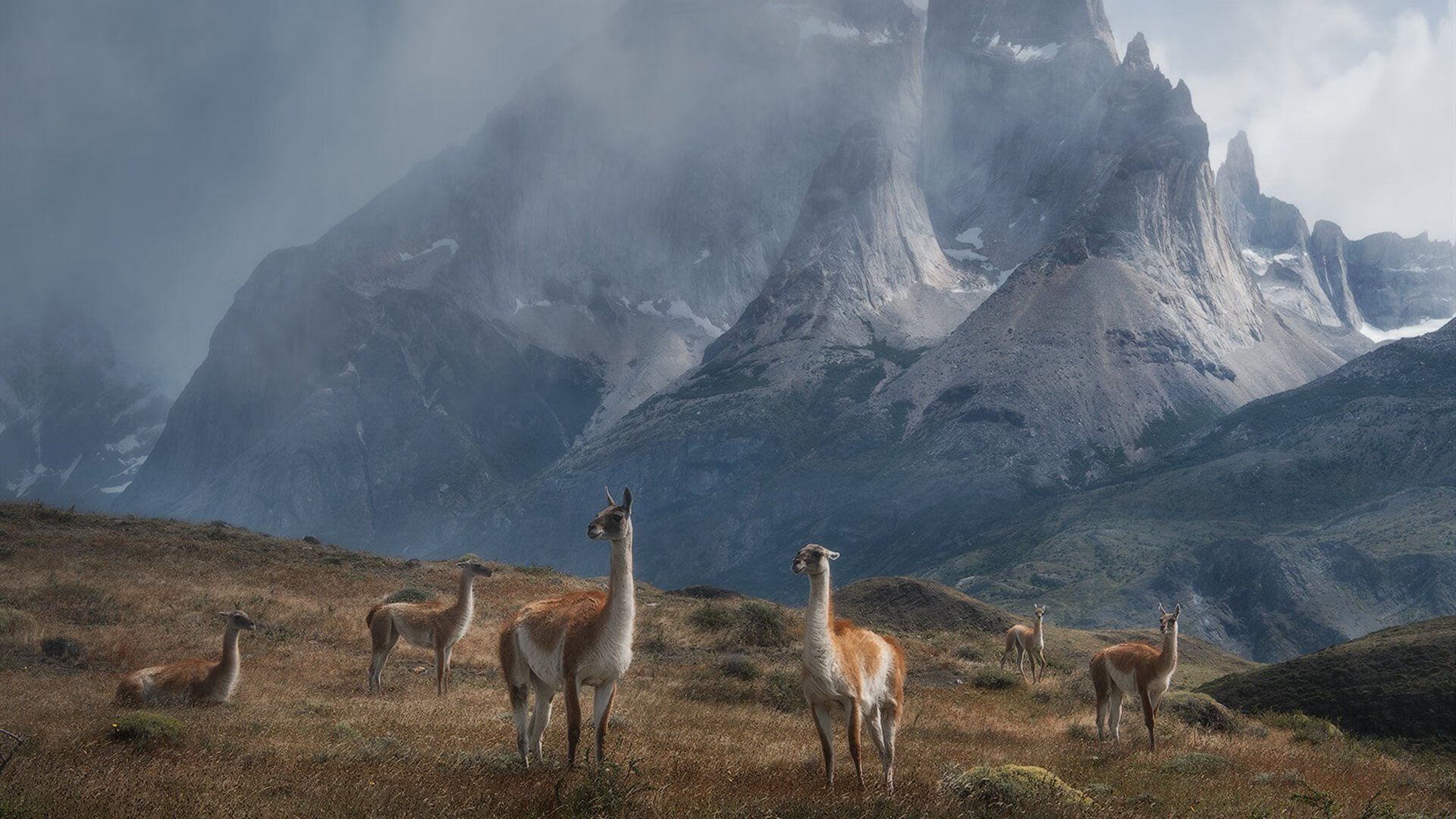 Kaiyun(中国)开云-柏林赫塔打破连败魔咒，实力有所提升，柏林赫塔fm