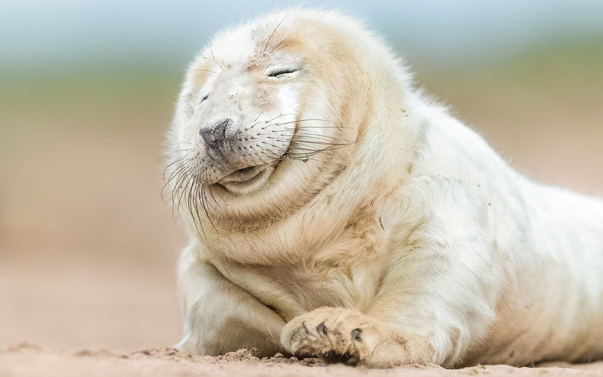 开云中国-电竞城市推动电竞产业绿色发展,电竞产业对城市的要求