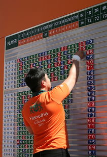 开云体育-世界武术太极锦标赛老将再度登顶,武术世界频道太极拳