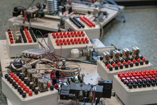 开云·体育官网-数字化转型：青训系统中的大数据应用，数字化转型_青训系统中的大数据应用有哪些