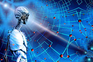 KAIYUNAPP-高校运动训练科学管理模式创新，科学的运动训练管理系统应包含哪些方面