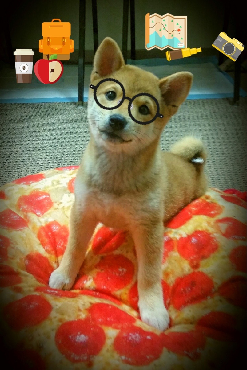 kaiyun体育app-“家庭出动！香港牛仔3K亲子跑等你来挑战”