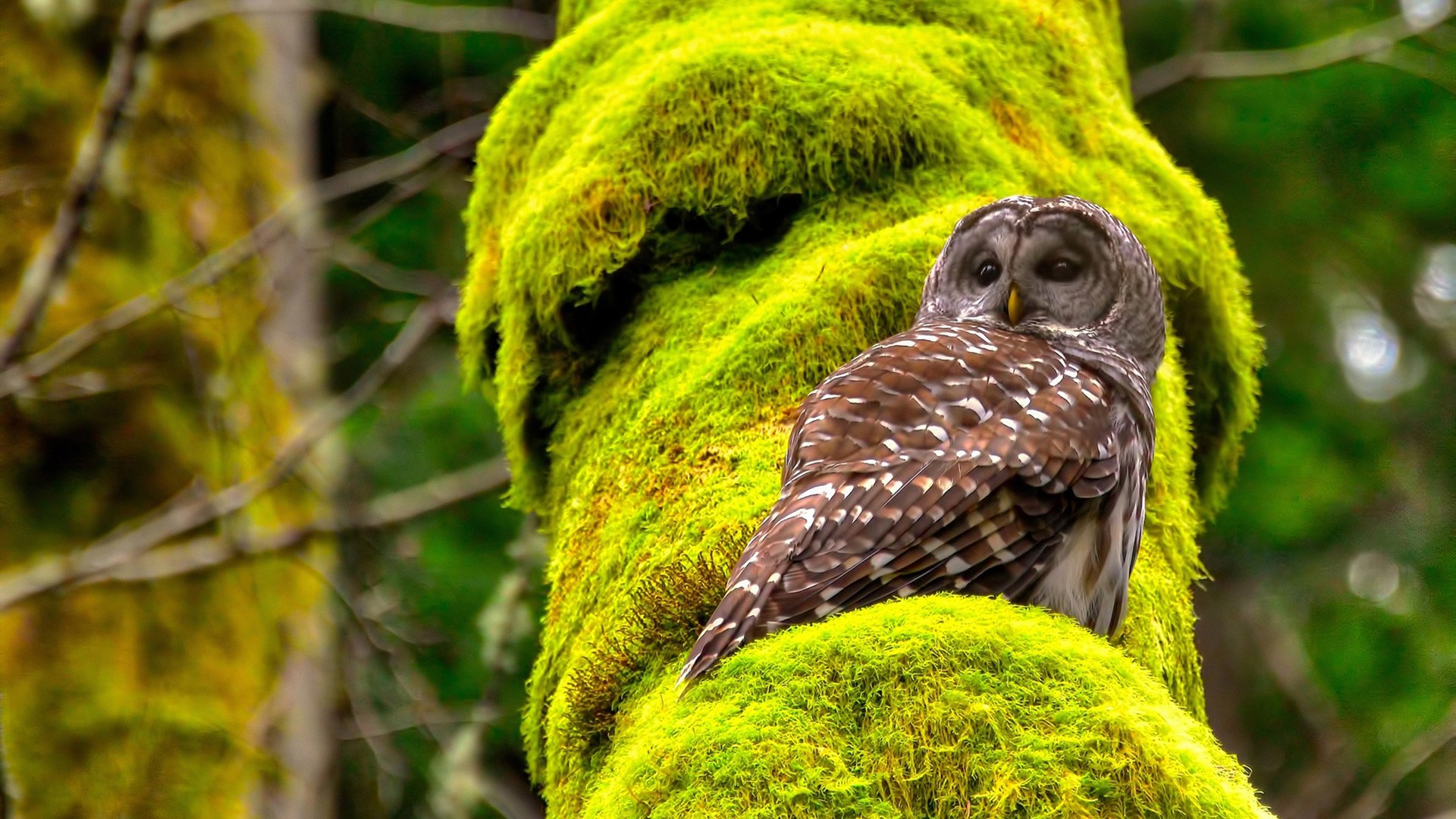 kaiyun官方网站-“台球激斗:天府校区体育馆成顶级竞技平台”