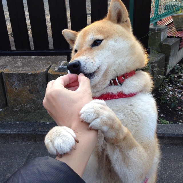 kaiyun中国官方网站-冬季转会窗口签约如何迅速融入体系，冬季转会窗口时间