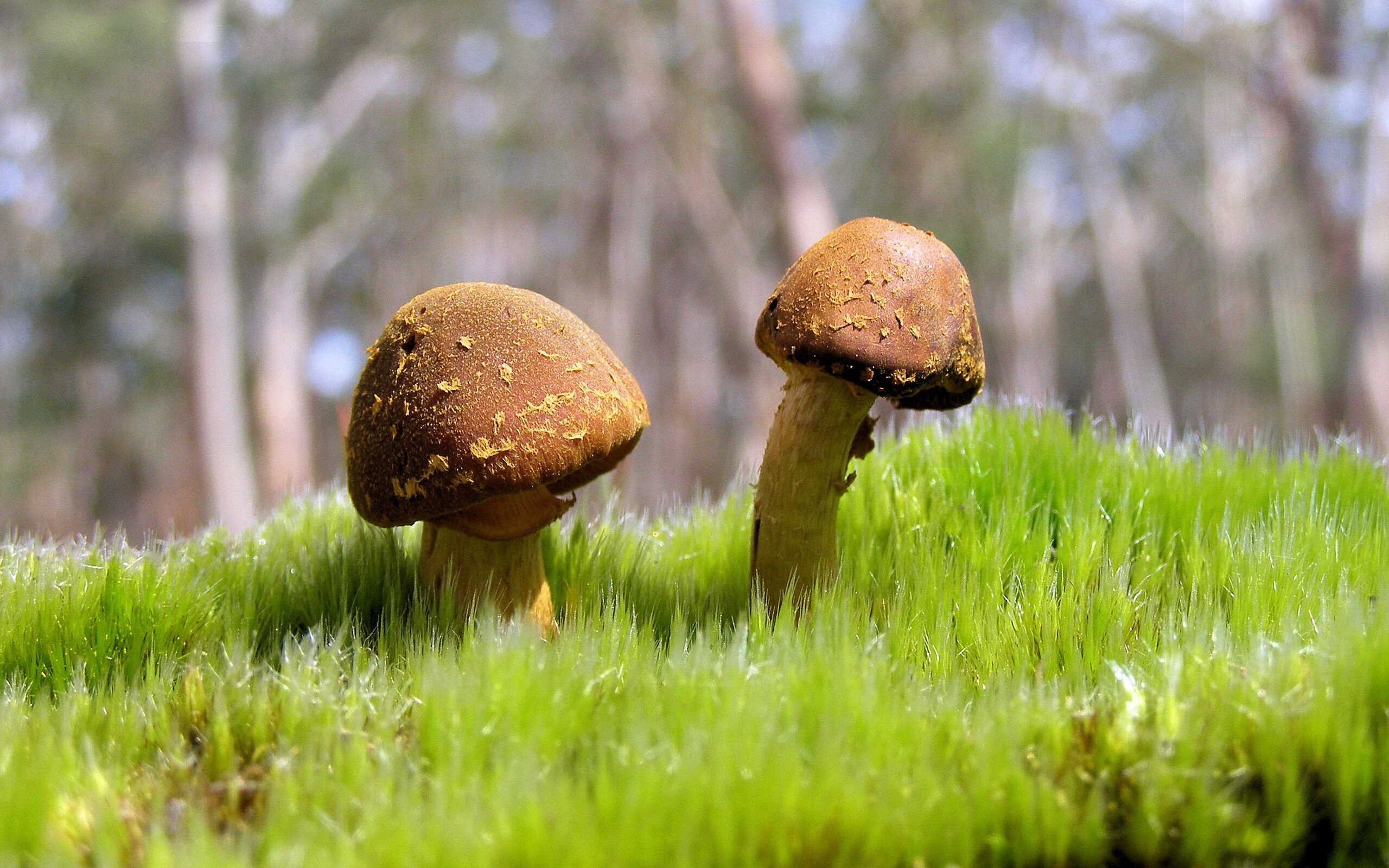 开云官网-出发反应时进入世界前列，进入世界前列,更加突出的问题是发展