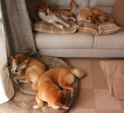 开云官方网站-世界杯夺冠热门的防守隐忧,世界杯冠军蝉联