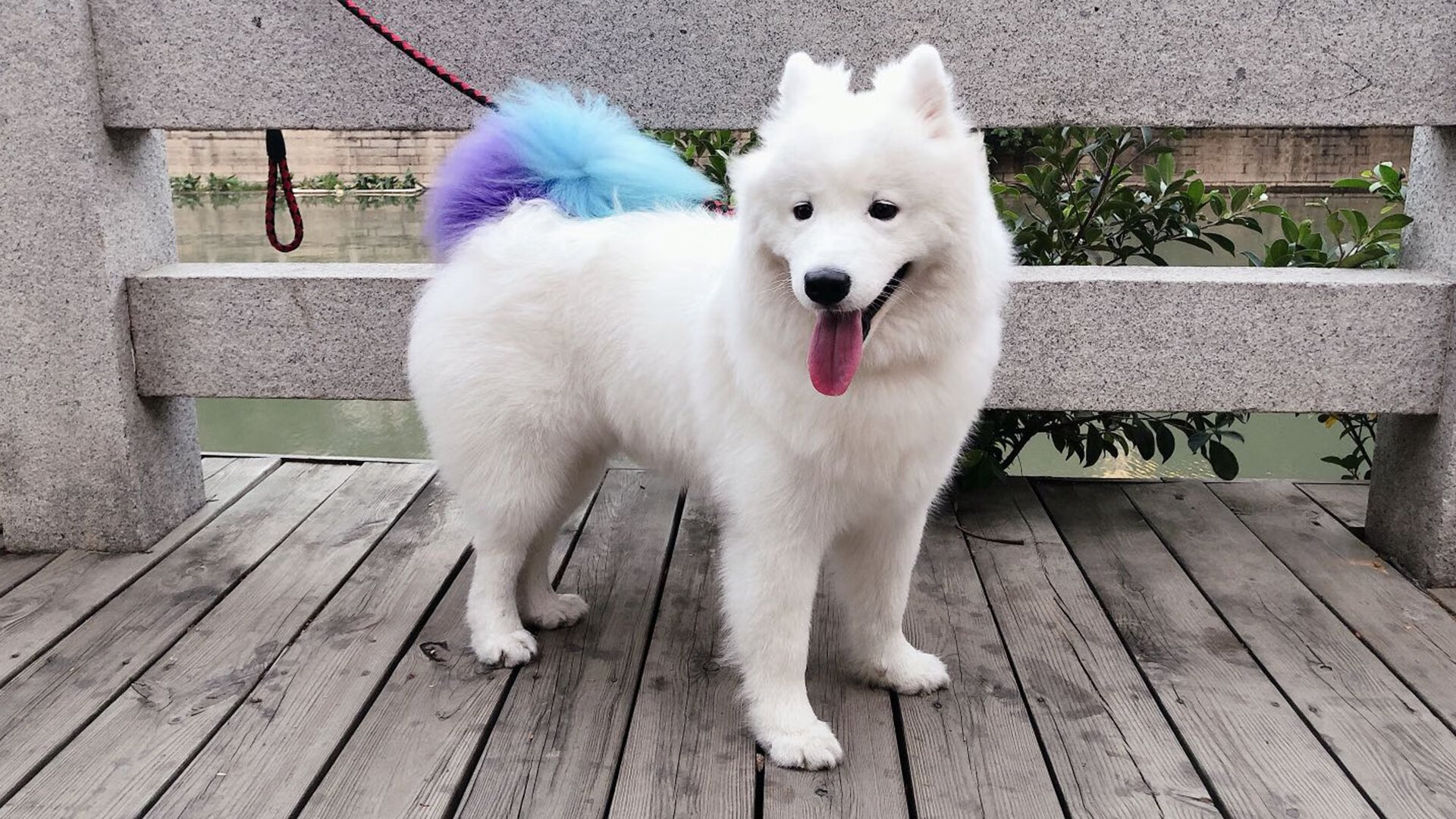 开云平台-中国足球青训基地教练队伍建设不断强化，中国足球青训营