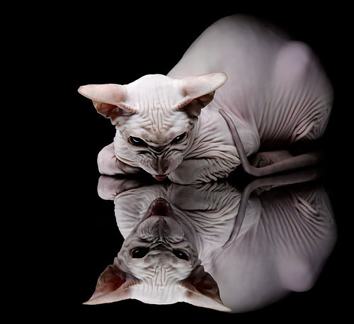 开云网页版登录入口-西甲绝佳亮点：精彩进球、巧妙助攻！，西甲进球视频