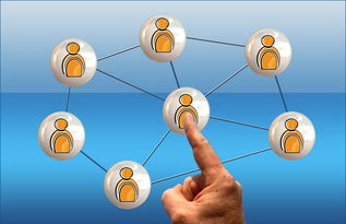 kaiyun登录入口-跨国足球合作项目实现深度融合,推动国际青训体系建设,国际足联青训定义