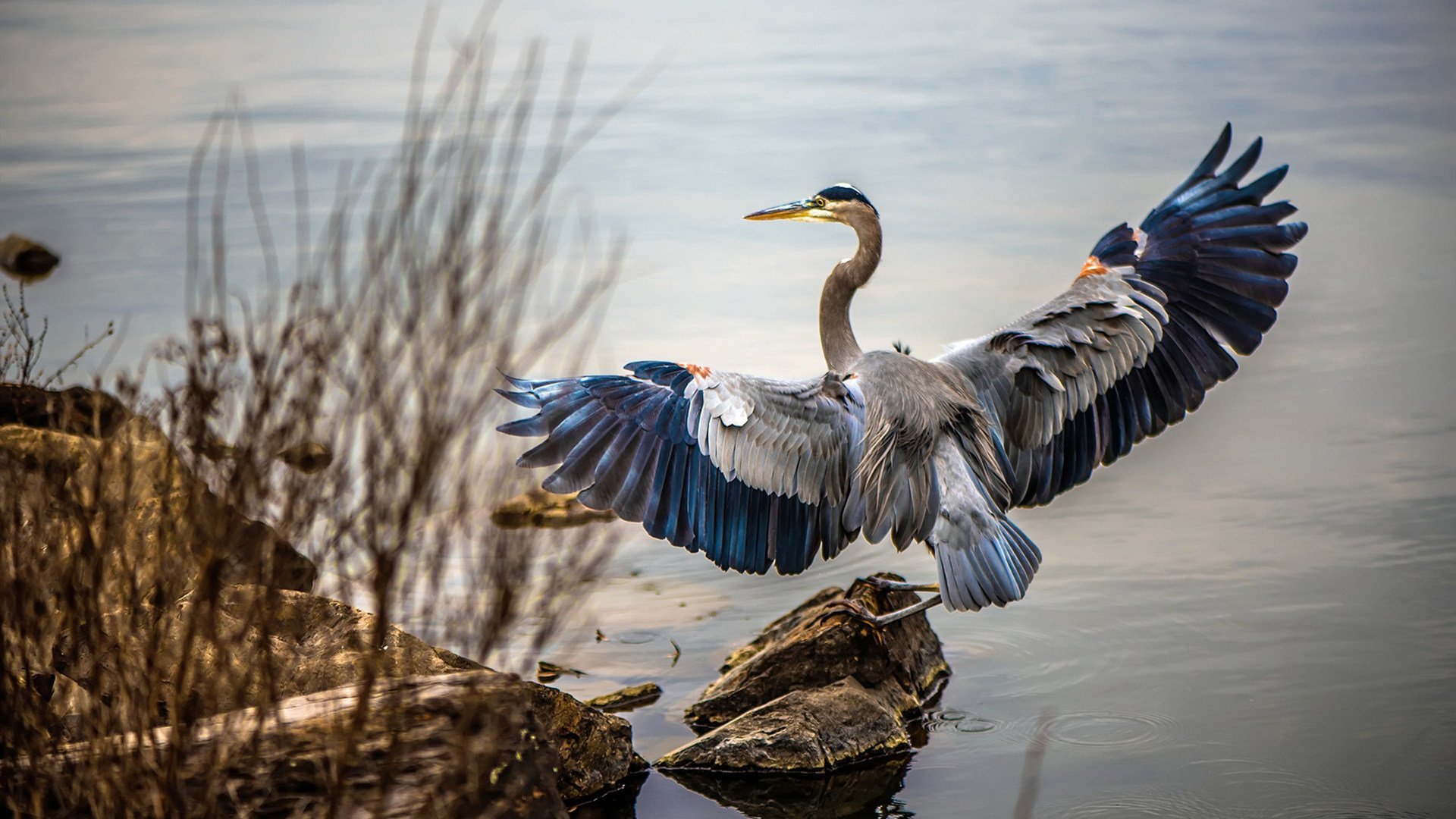 开云官方网页登录-退役运动员担任特邀教练传授实战经验激励后辈努力训练，退役运动员当教练